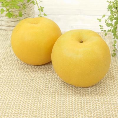 ふるさと納税 加茂市 [2026年先行予約]新潟県産 和梨 新美月 新王 2品種詰め合わせ 約5kg[9月中旬以降配送]