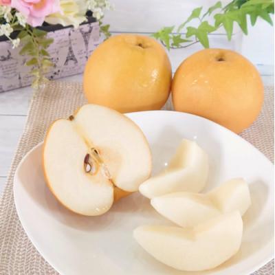 ふるさと納税 加茂市 [2026年先行予約]新潟県産和梨 新高 約3kg [9月下旬以降配送]
