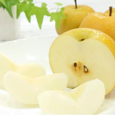 ふるさと納税 加茂市 [2026年先行予約]新潟県産和梨 あきづき 約3kg[9月中旬以降配送]