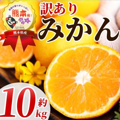 ふるさと納税 荒尾市 温州みかん 訳あり サイズミックス 3S〜3L 約10kg(荒尾市)
