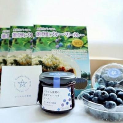 ふるさと納税 能登町 [復興支援][能登町プレミアム]ブルーベリーセット(ブルーベリーカレー3個、ソース2個)