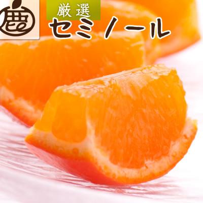 ふるさと納税 和歌山市 厳選 セミノールオレンジ1kg+250g(傷み補償分)[春みかん][有田産][光センサー食べ頃出荷]