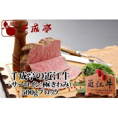 ふるさと納税 彦根市 近江牛ローストビーフ「サーロイン」極(きわみ) 500gブロック 千成亭