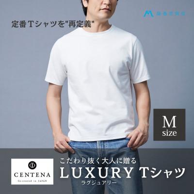ふるさと納税 和歌山市 [CENTENA]LUXURY Tシャツ 半袖 ホワイト (M) | 
