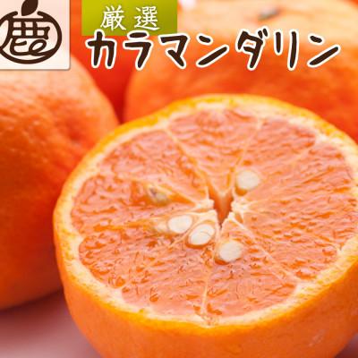ふるさと納税 和歌山市 厳選 カラマンダリン1kg+250g(傷み補償分)[南津海(なつみ)][希少な春柑橘]