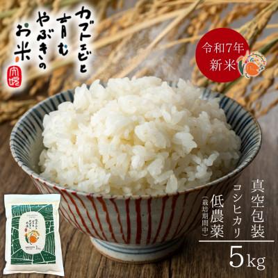 ふるさと納税 矢吹町 令和7年産米[真空包装]カブトエビと育む、栽培期間中農薬を減らしたやぶきのお米 コシヒカリ 5kg