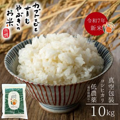 ふるさと納税 矢吹町 令和7年産米[栽培期間中の農薬削減・真空包装]カブトエビと育むやぶきのお米 コシヒカリ 10kg