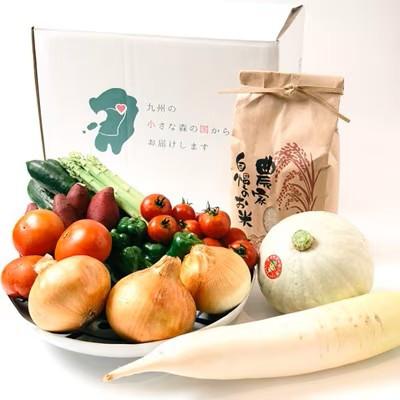 ふるさと納税 小国町 [阿蘇小国町]薬味野菜の里小国ふるさと野菜とお米(あきげしき)5kgの詰め合わせ