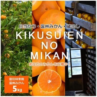 ふるさと納税 富田林市 温州みかん 富田林市東條産5kg [菊水園] 甘い美味しい みずみずしいと人気の柑橘です。