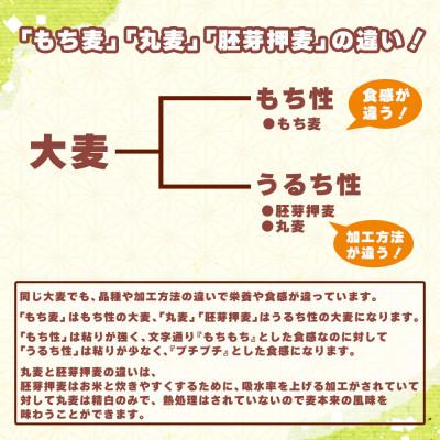 ふるさと納税 静岡市 雑穀米本舗 国産 もち麦 4kg(400g×10袋)ダイシモチ |  | 01