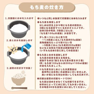ふるさと納税 静岡市 雑穀米本舗 国産 もち麦 4kg(400g×10袋)ダイシモチ |  | 03