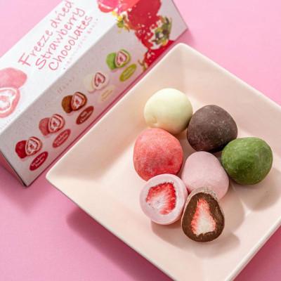 ふるさと納税 伊丹市 5色の苺チョコ 5粒×56箱 11月〜3月発送 
