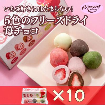 ふるさと納税 伊丹市 5色の苺チョコ 5粒×10箱 4月〜10月発送 