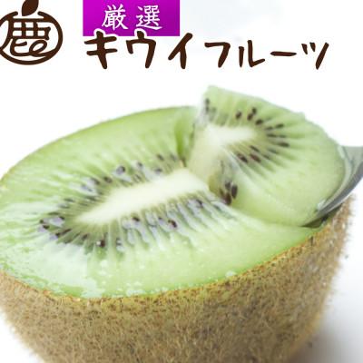 ふるさと納税 和歌山市 厳選 キウイ1kg+250g(傷み補償分)[扁平果]