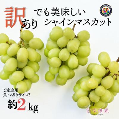 ふるさと納税 笛吹市 &lt;26年発送先行予約&gt;SDGs 訳あり シャインマスカット 約2.0kg 山梨 笛吹市 ご家庭用
