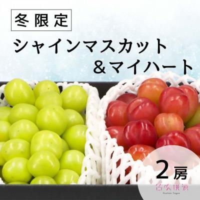 ふるさと納税 笛吹市 &lt;25年発送先行予約&gt;冬のシャインマスカット1房&amp;マイハート1房 157-025