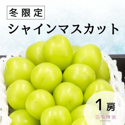 ふるさと納税 笛吹市 &lt;25年発送先行予約&gt;冬季限定!シャインマスカット1房 157-023