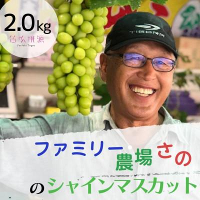 ふるさと納税 笛吹市 &lt;26年発送先行予約&gt;[ファミリー農場さの]もぎたてシャインマスカット2kg 157-021