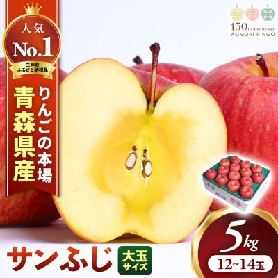 ふるさと納税 三戸町 りんご「サンふじ」大玉約5kg(12〜14玉)[2026年産・先行予約]11月下旬〜12月下旬発送