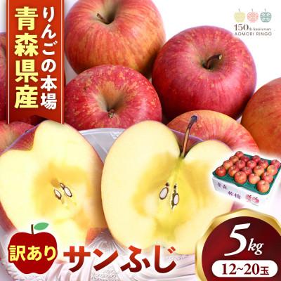 ふるさと納税 三戸町 [訳あり]りんご[サンふじ]約5kg(12〜20玉)[2026年産・先行予約]12月発送予定
