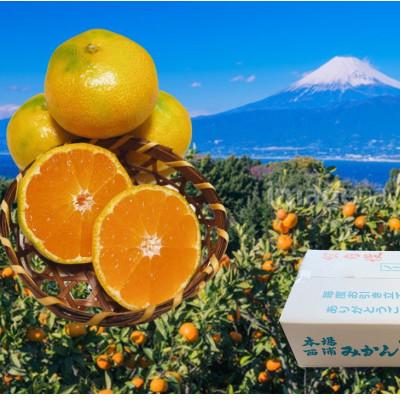 ふるさと納税 沼津市 由良みかん (訳ありみかん 4.5キロ箱込) ゆらみかん 10月中旬〜11月上旬頃発送 西浦みかん