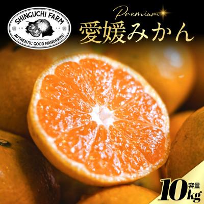 【送料無料　ご家庭用】愛媛産　赤レモン　約10ｋｇ1箱 ふるさと納税 八幡浜市 【創業110年】五代目が厳選した愛媛みかん 10kg