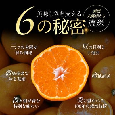 ふるさと納税 八幡浜市 【小玉サイズ限定】五代目が厳選!愛媛みかん 5kg【愛媛県川上産】新口農園【A70-92】 |  | 02