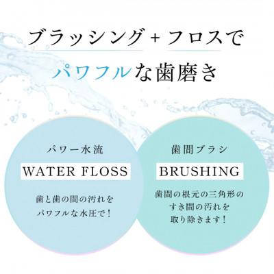 ふるさと納税 つくばみらい市 WAVE WAVE JET WASHERの画像