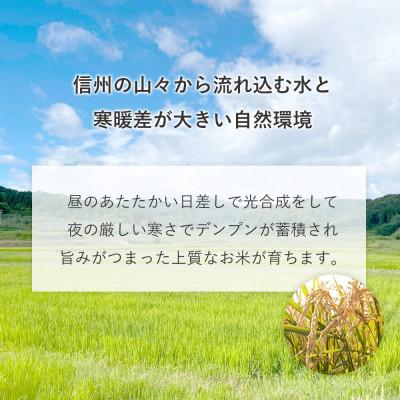 ふるさと納税 飯綱町 【飯綱町産】ミルキークイーン 2kg 玄米 |  | 02