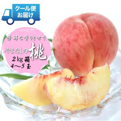 ふるさと納税 笛吹市 先行予約 2026発送分 安心のクール便でお届け 山梨県産 桃 2kg 4〜5個入