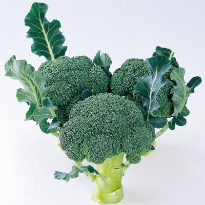 ふるさと納税 土庄町 ブロッコリー 約2.5kg