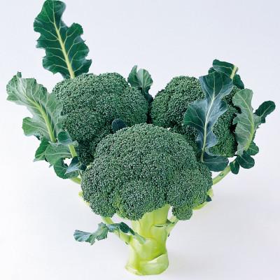 ふるさと納税 三豊市 ブロッコリー 約2.5kg