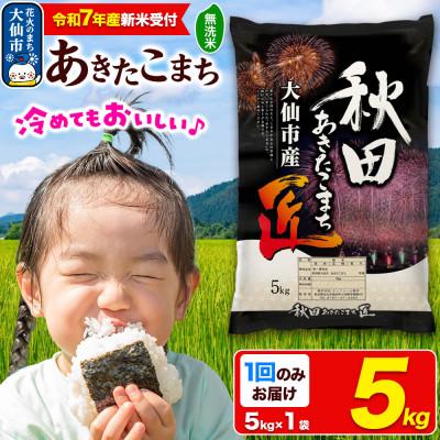 ふるさと納税 大仙市 [令和7年産 新米受付][無洗米]秋田県大仙市産 あきたこまち 5kg 1回のみお届け