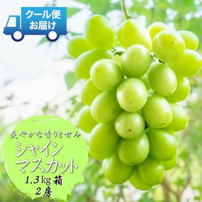 ふるさと納税 山梨市 2026年発送 山梨県山梨市 安心のクール便発送