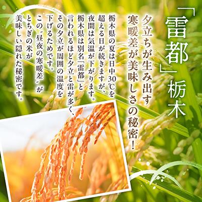 ふるさと納税 さくら市 【令和7年産】 特A とちぎの星 精米 5kg 栃木県