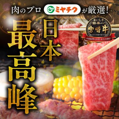 ふるさと納税 都城市 宮崎牛【赤身&霜降り】焼肉用2種セット【2kg】(都
