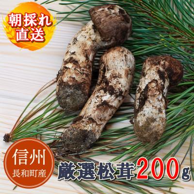 ふるさと納税 長和町 [先行予約]令和8年産天然松茸 200g 朝採れ直送 信州長和町産 自生産地直送 冷蔵便