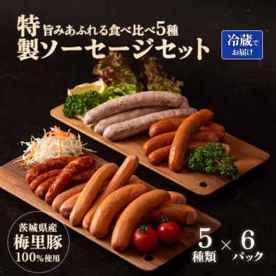 ふるさと納税 茨城町 [梅里豚使用!]特製ソーセージセット
