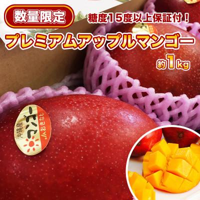 ふるさと納税 南城市 [先行予約]糖度15度以上!プレミアムマンゴー約1kg(2玉)