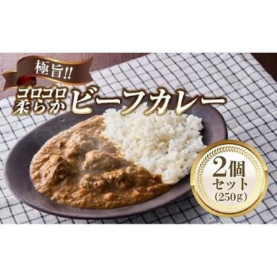 ふるさと納税 河内長野市 極旨!牛ヒレ肉ゴロゴロ柔らかビーフカレー(250g)2個セット