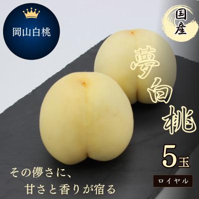 ふるさと納税 井原市 2026年予約受付 岡山県産 夢白桃 5玉(ロイヤル)