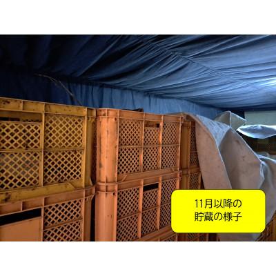 ふるさと納税 神崎町 【先行予約・1月中旬以降出荷】神崎町産べにはるか 洗い「さつまいも」M〜Sサイズ混合 5kgの画像