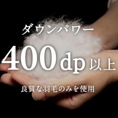 ふるさと納税 盛岡市 セミダブル tsumugi 羽毛布団【合掛け】装飾:さんさ裂き織(グリーン)_1