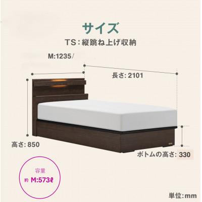 ふるさと納税 上峰町 フランスベッド フレームのみセミダブルFAD-C1 (TS跳ね上げ収納330mm)フレームカラー選択の画像