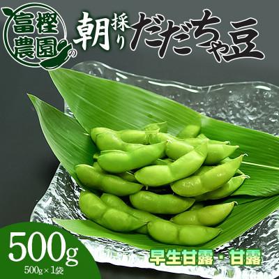 ふるさと納税 鶴岡市 富樫農園の朝採りだだちゃ豆[8月上旬発送]500g 早生甘露・甘露 [K-812]