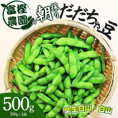 ふるさと納税 鶴岡市 富樫農園の朝採りだだちゃ豆[8月中旬発送]500g 早生白山・白山 [K-812]