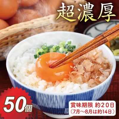 ふるさと納税 越前市 越前赤玉子50個(45個+卵割れ補償5個)