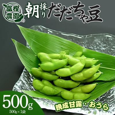 ふるさと納税 鶴岡市 富樫農園の朝採りだだちゃ豆[8月下旬発送]500g 晩生甘露・おうら [K-812]