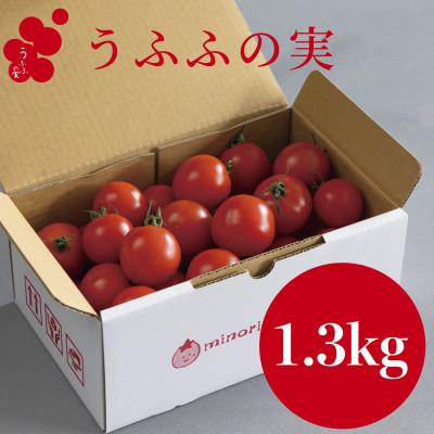 ふるさと納税 養父市 [産地直送]トマト(約1.3kg) 箱 うふふの実 高糖度フルーツトマト アイメック[常温]