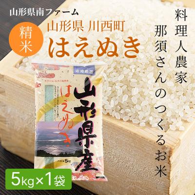 ふるさと納税 米 はえぬき 山形県 村山市 米 15kg 5kg×3 はえぬき 無